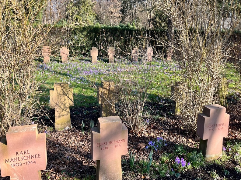 23-02-13 13-00-20 4192.jpeg